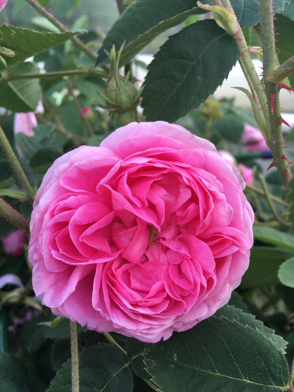 9260012B-E7E7-4568-AB1A-035E0EF5461B