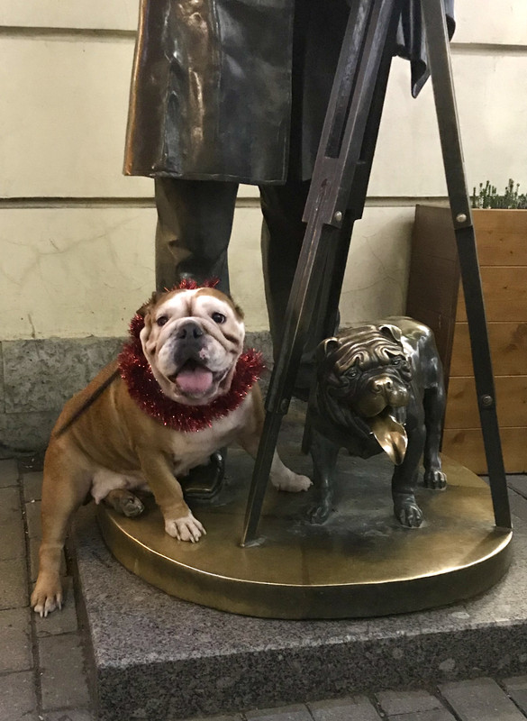 22A46E0E-B21F-4F34-851D-56D57A2EFCD5