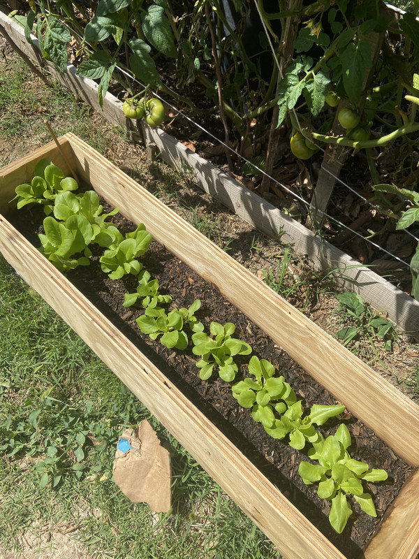 654B7555-B82C-4E38-A0BF-C38B6C411545