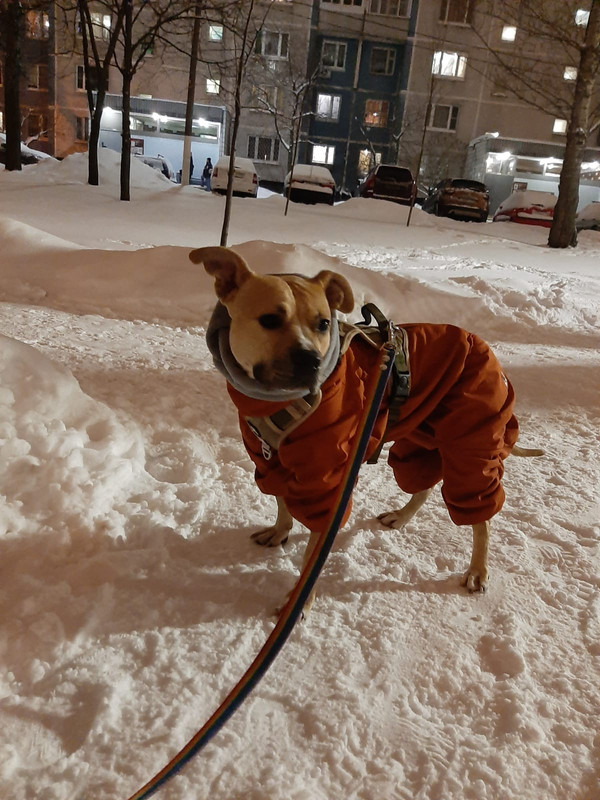 AF0785A9-A536-4738-8774-69AF5A2AC7B3