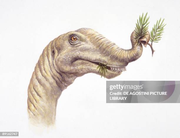 gettyimages 89162747 612x612