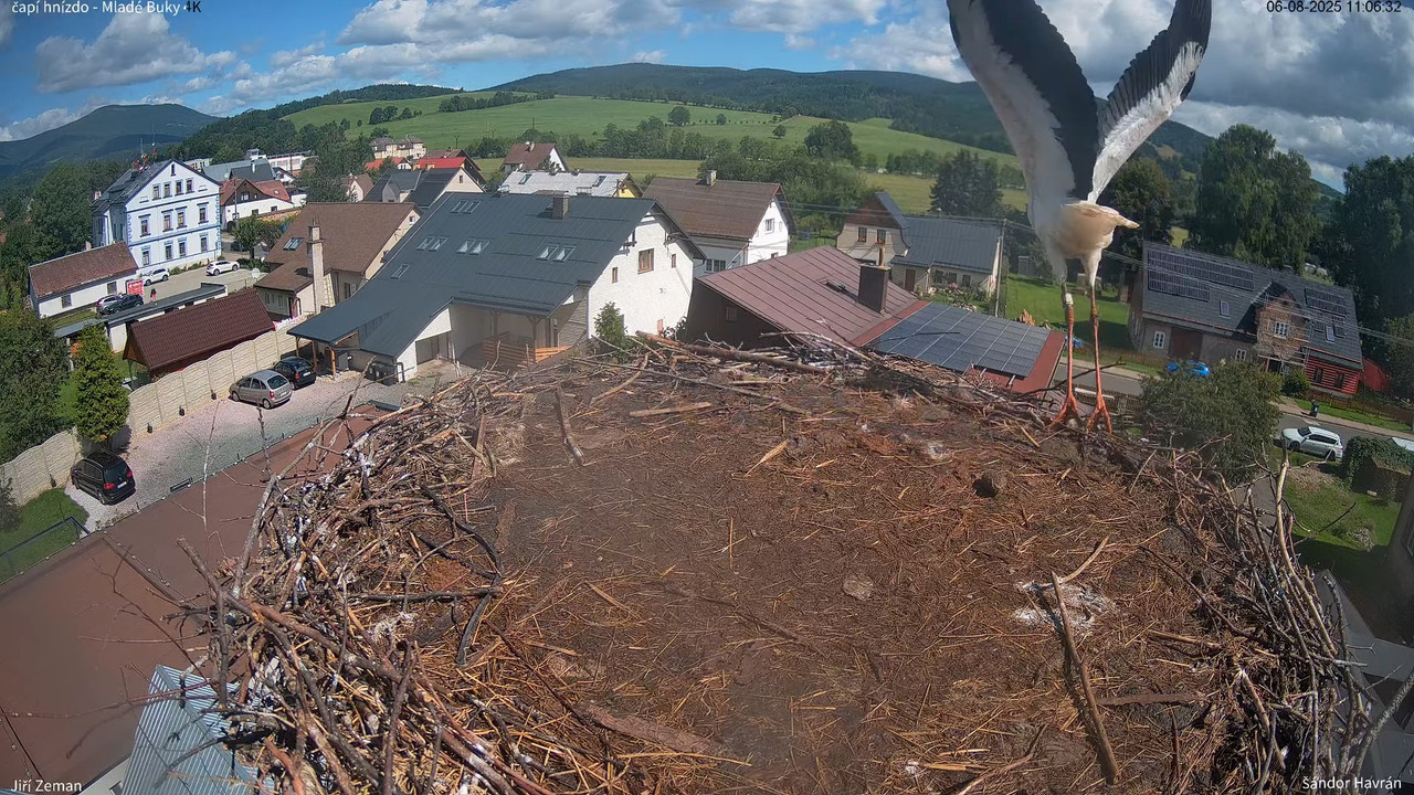 Tiešraides kamera — Mladé Buky — stārķa ligzda 4K 15-38-46 screenshot