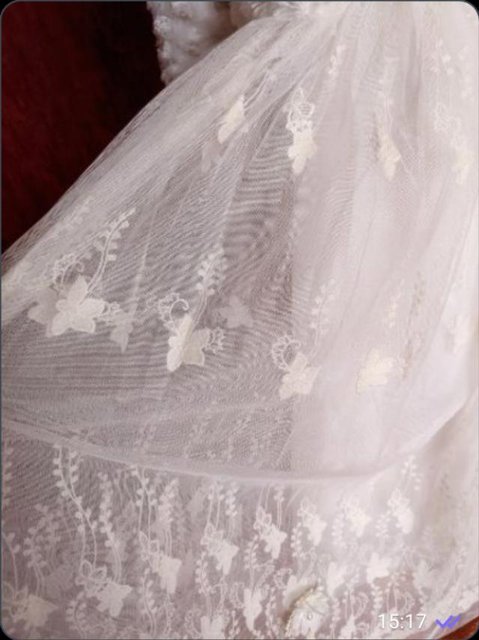 изображение_viber_2024-07-27_18-00-44-604