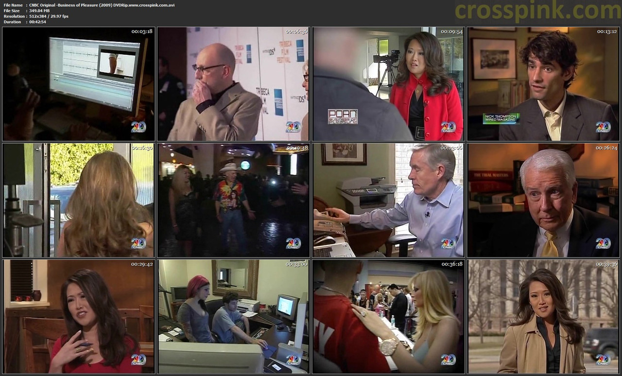 CNBC Original -Business of Pleasure (2009) DVDRip.www.crosspink.com.avi