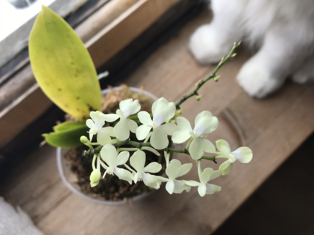 56399D13-F655-4D2A-823A-6B91DE0D13B5