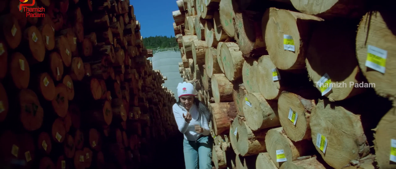 vlcsnap-2025-09-30-17h37m56s199