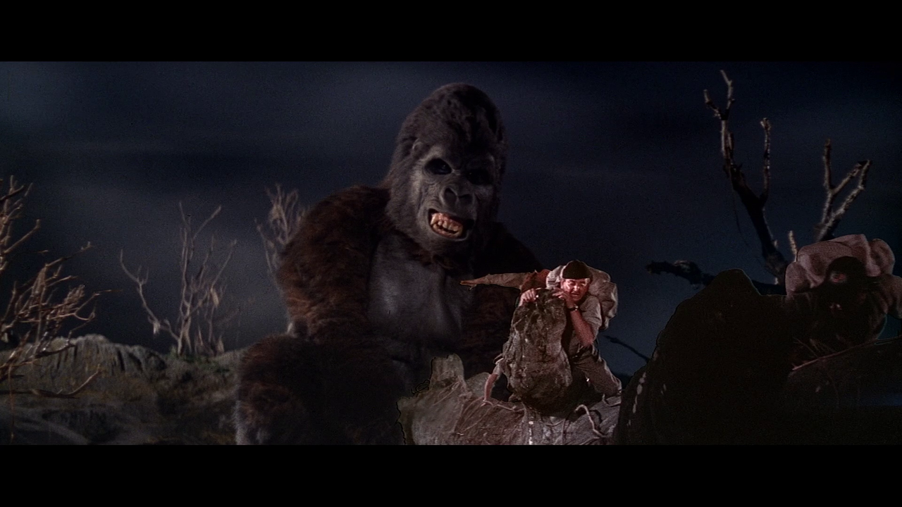 vlcsnap 2026 03 24 10h13m28s551