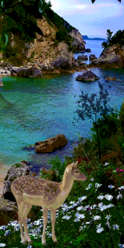 5534B344-0D8C-4175-9582-4721DC4494BB