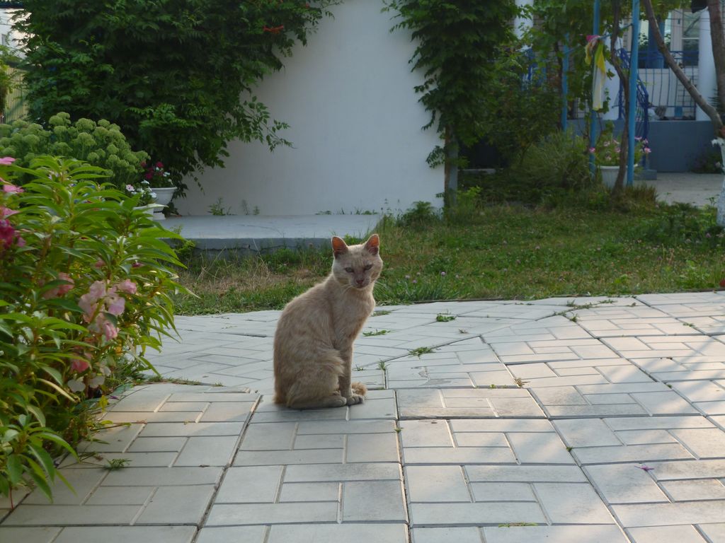 P1190049 [Разрешение рабочего стола]