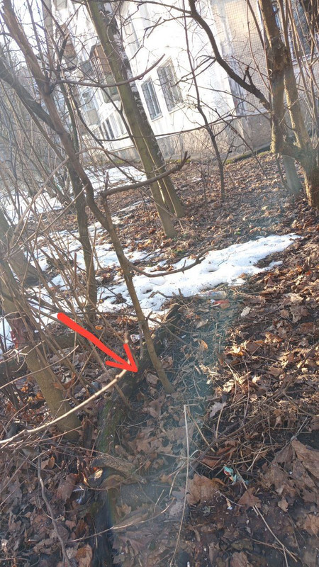 IMG 20260311 125852 903