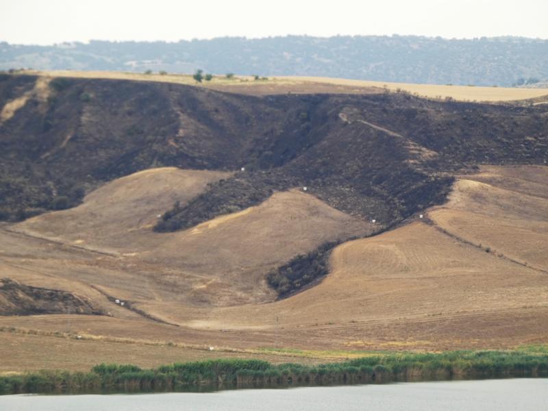 Barrancas de Burujón-2015/2025 - Toledo y sus pueblos-1996/2026 (50)