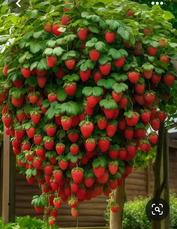 Screenshot_20230514_153937_Pinterest