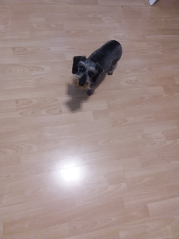 [Image: 20210525-175433.jpg]