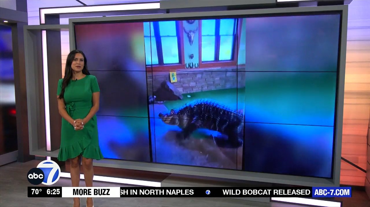 Abc7 More In The Morning Wkn 6Am Su 20240317 10001100-1.mp4_snapshot_21.34.460