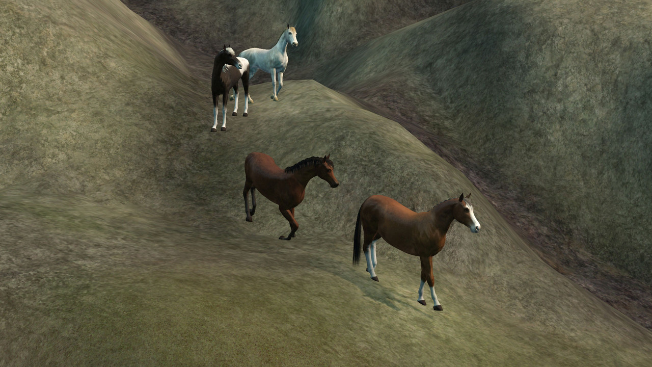 Wild-Horses001.jpg