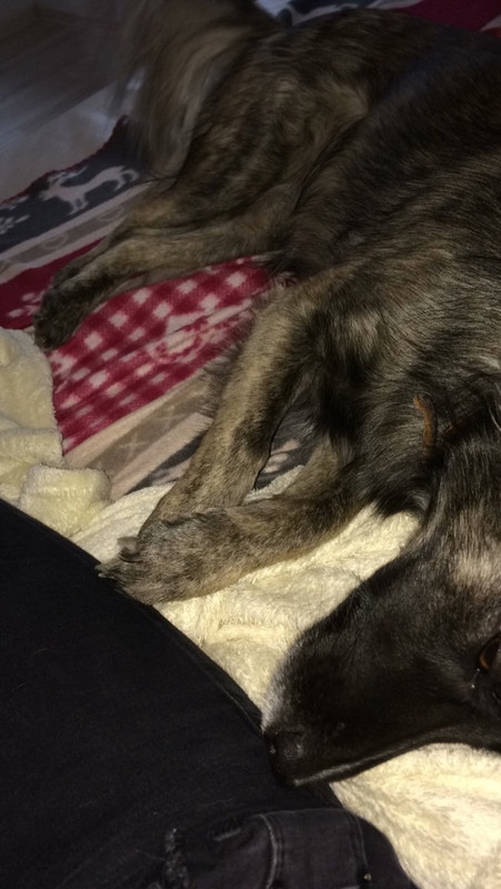 BCF7668D-5C2A-4FE4-B3C3-60EF79EA4D4D