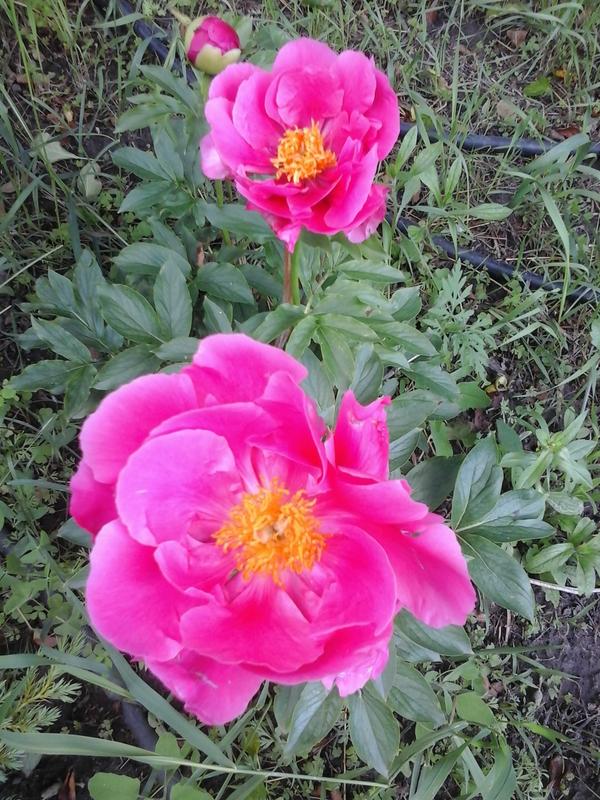 20190527_152152