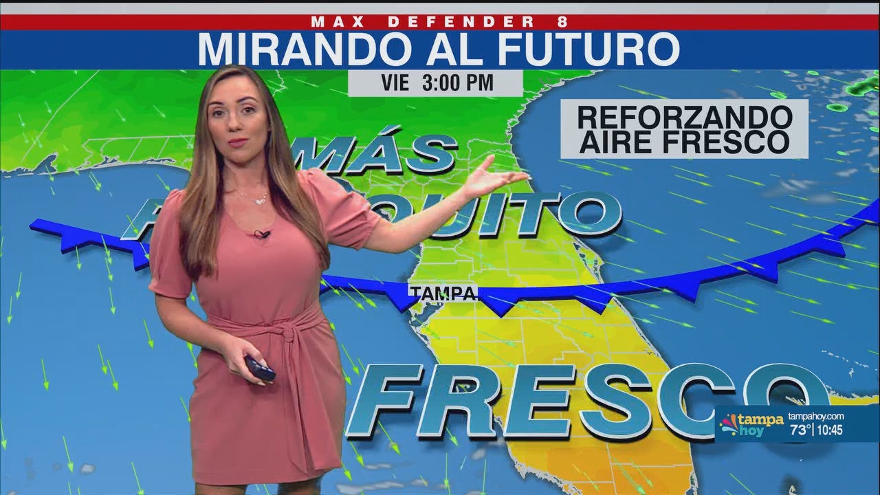 Noticias Tampa Hoy_20241121_03300400.ts_snapshot_16.05.044