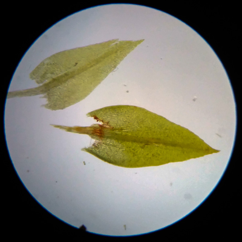 IMG 20250617 114413 HDR