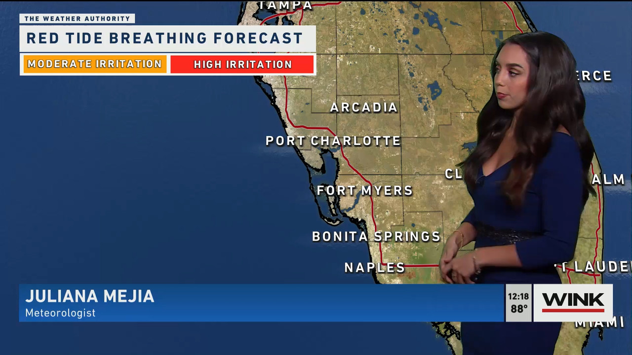 03.06 - 17.00.00 - The WINK Noon News  ᴺᵉʷ. Midday news update..ts_snapshot_24.32.147