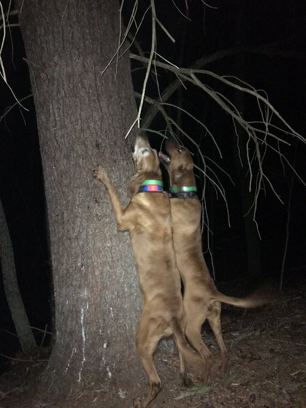 6BB5B060-4229-4E4A-A44D-9A6CA4D06A49