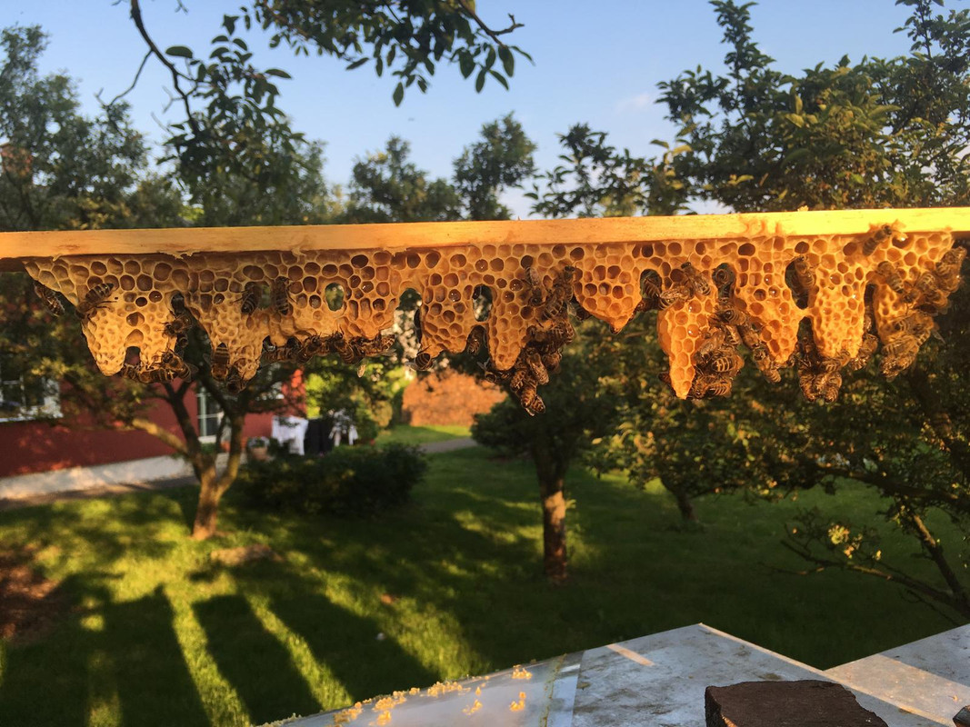 36030E90-3114-4573-B3F7-86480FAA3D3C