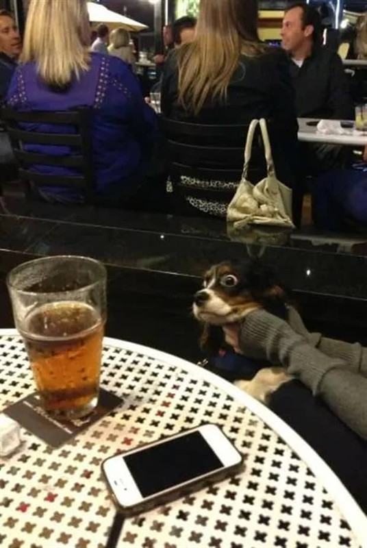 klyker-picdump-12-12-2025-15.jpg