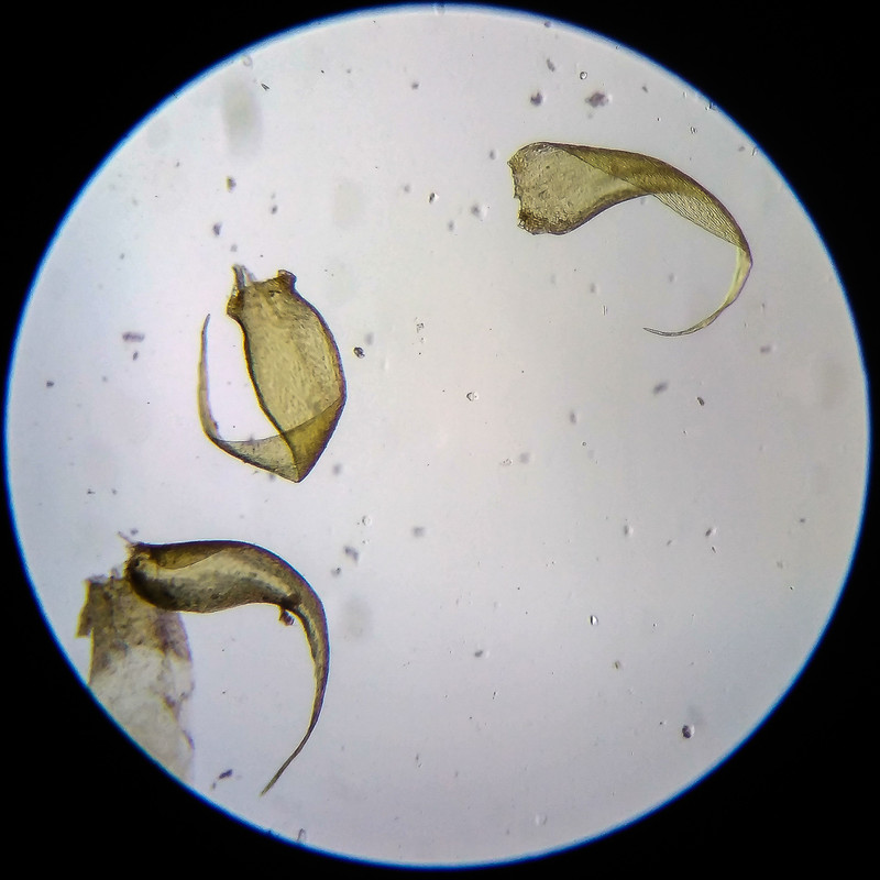 IMG 20250614 203654 HDR