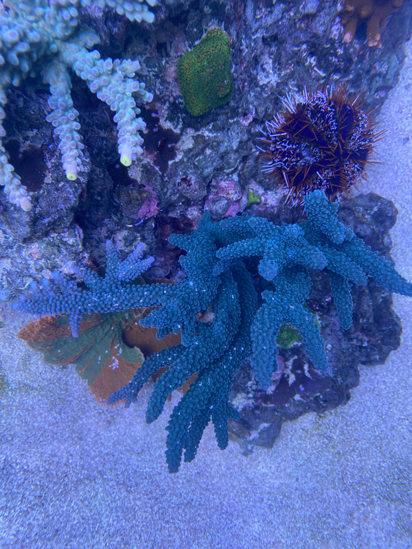 22726DE3-7129-42E7-B9F1-FD15DA32A3B2