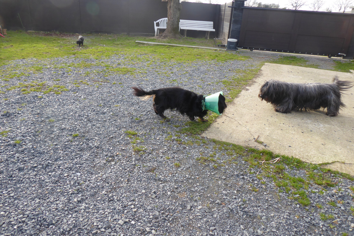 [Image: P1040669.jpg]