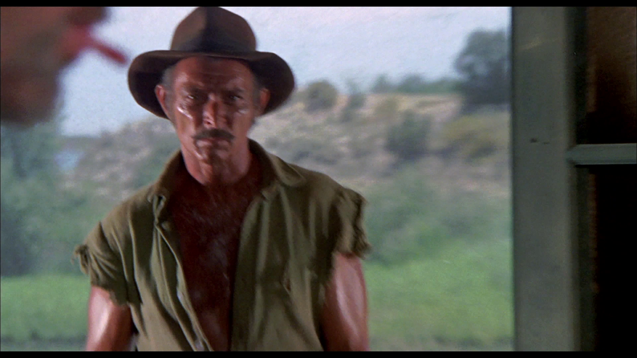 vlcsnap-2023-11-30-18h26m02s610