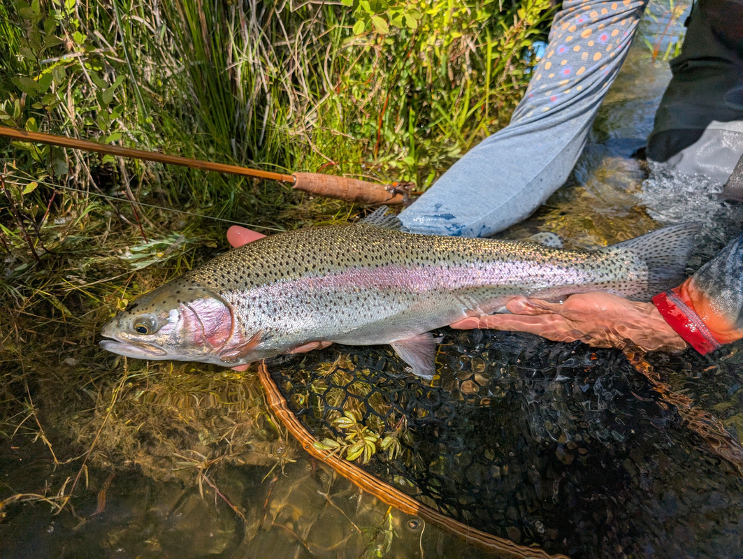 PXL_20250604_230535805