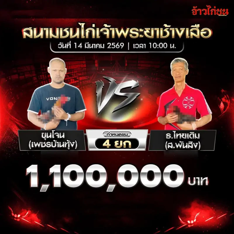 โปรแกรมไก่ชน คู่ที่ 3 ขุนโจน เพชรบ้านทุ้ง พบ ธ.ไทยเดิม ส.พันสิง สนามชนไก่เจ้าพระยาช้างเสือ 14 มีนาคม 2569