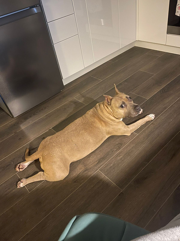 WhatsApp Image 2023-12-13 at 12.47.40 (1)