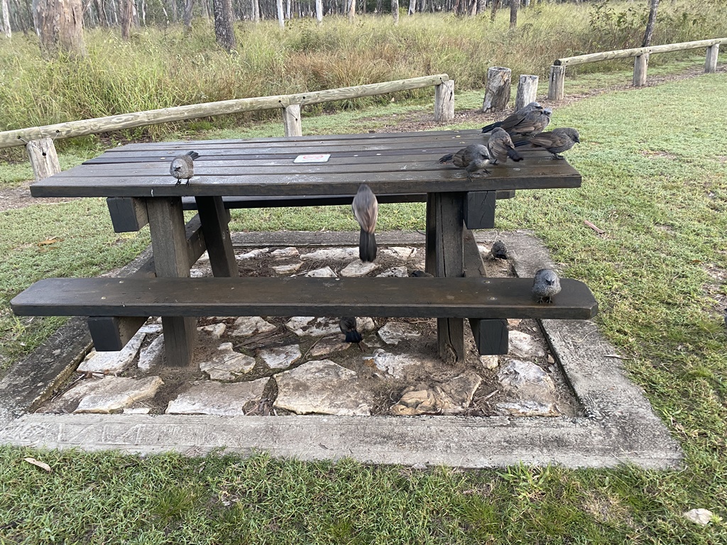 2022 (Jun) - Central (Nth) Qld Solo Trip(web) (139)