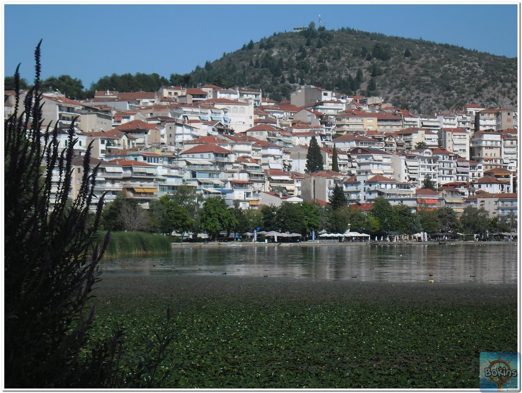 Slika