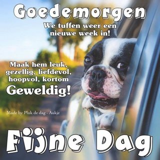 An den Beitrag angehängtes Bild: https://i.postimg.cc/RZVy8g0p/5581ddb2b4dca928fe3e2c27d12a7bb9.jpg