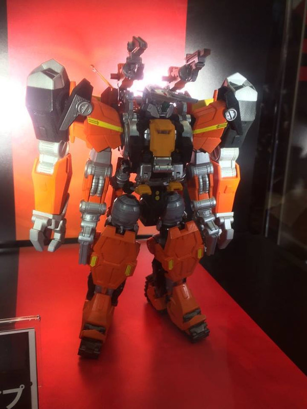 13445598_1034763313276744_8566909430931983325_n