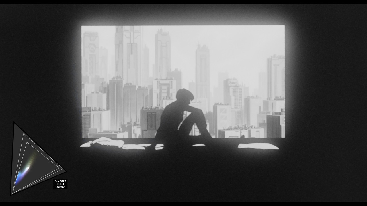 gits_hdr_12_gamutmap_HDR (JP)