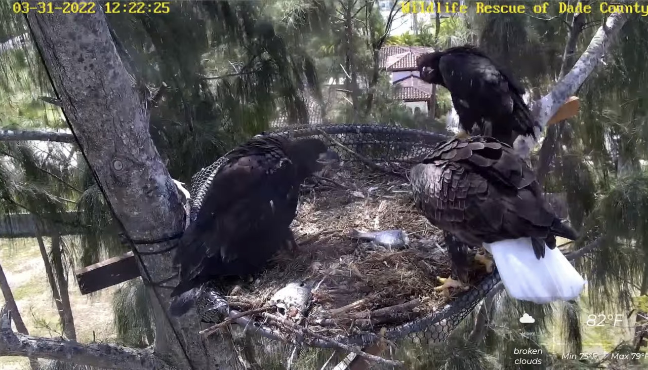 174BA5A1-DB42-46E5-A05B-8FF508020618