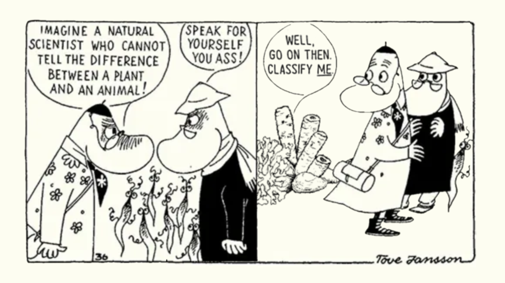 moomin-coral.png
