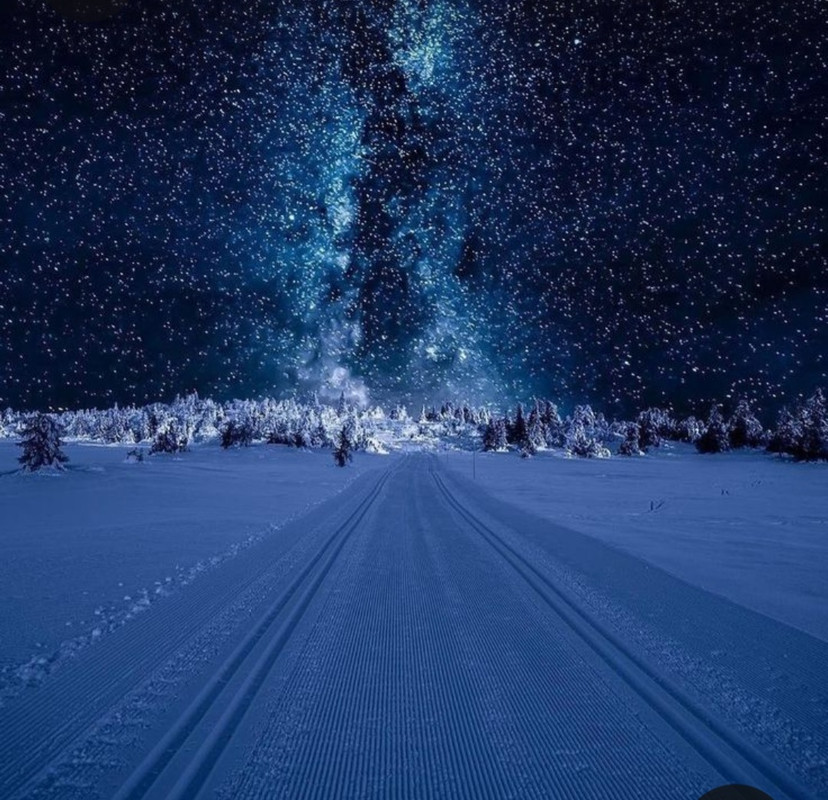 Screenshot_20231019_201528_Pinterest