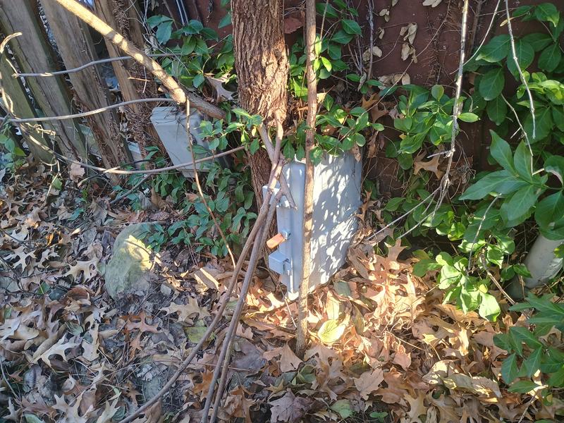 IMG 20251221 133942854 HDR