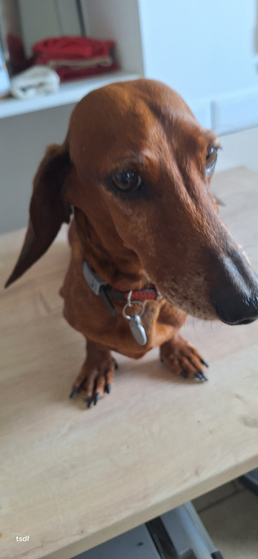 [Image: 20250901-141216.jpg]