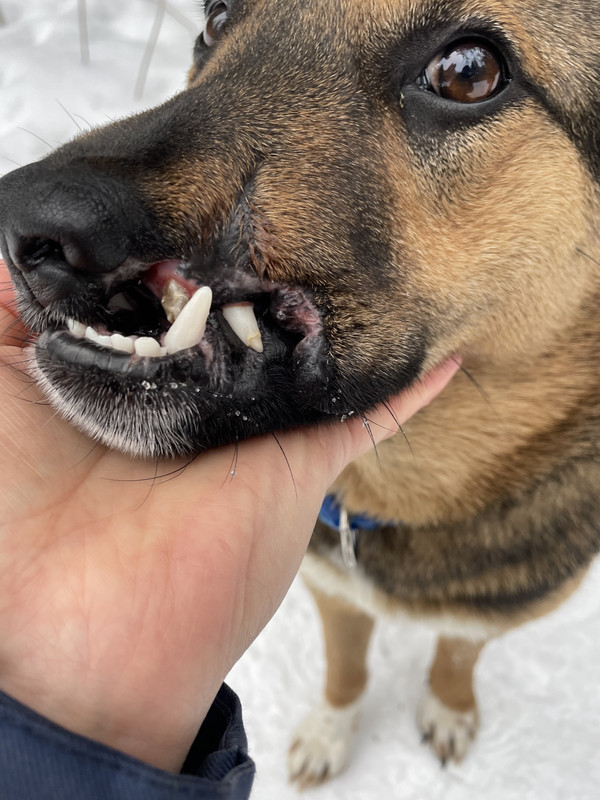 A12DF8DD-EA58-47BF-BCAE-8E0E24353F45