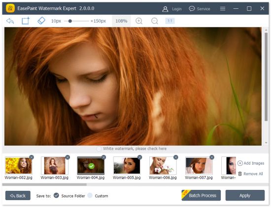 EasePaint Watermark Expert 2.0.4.0