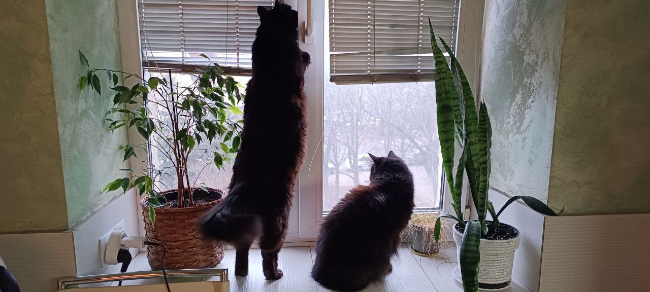 IMG 750400f2523d6437be86fa0ae14b812e V