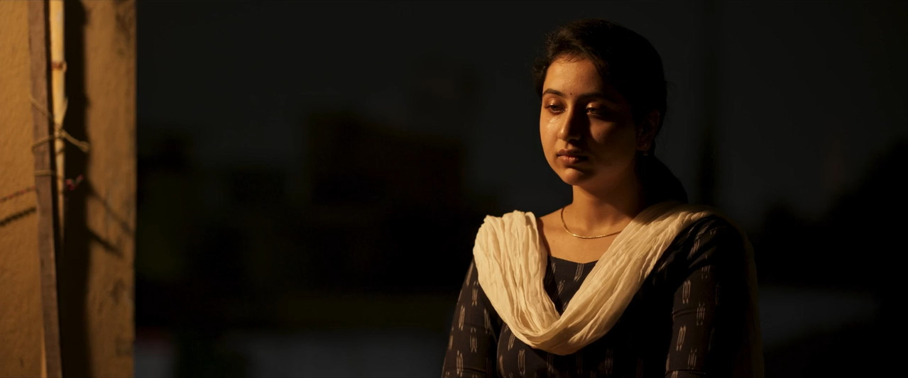 Dark 2026 WebRip [Hindi + Tamil + Telugu] 480p 720p ESub Screenshot