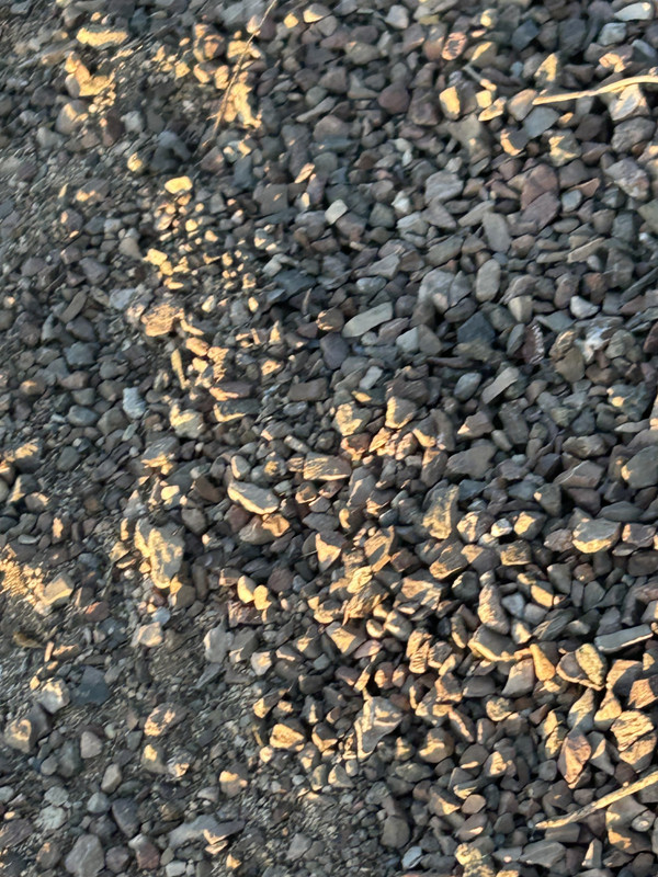 IMG 7578