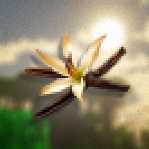 Vanilla Bloom